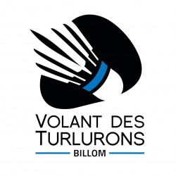 logo-vdt